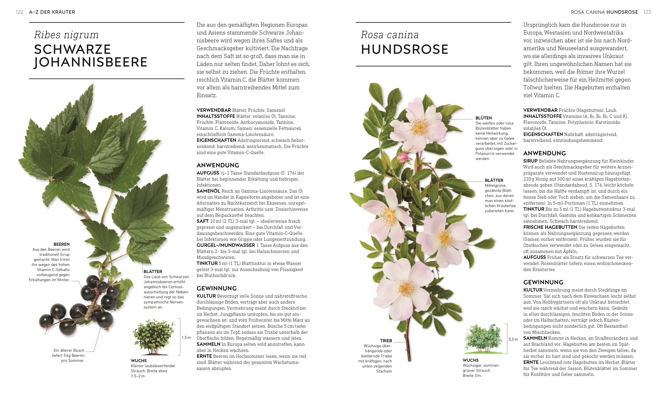 9783831041602_innenansicht_06 9783831041602_innenansicht_06.jpg