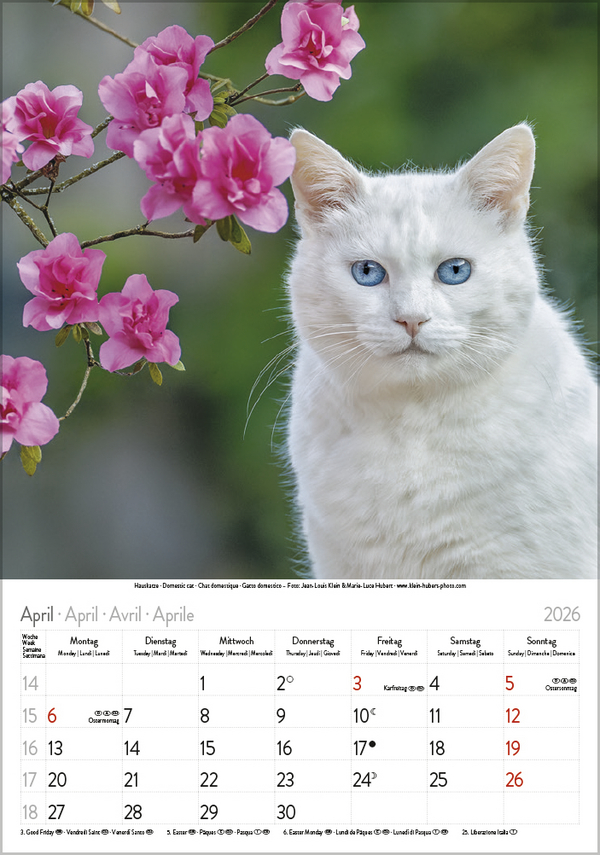 9783731883609_innenansicht_04 9783731883609_innenansicht_04.jpg