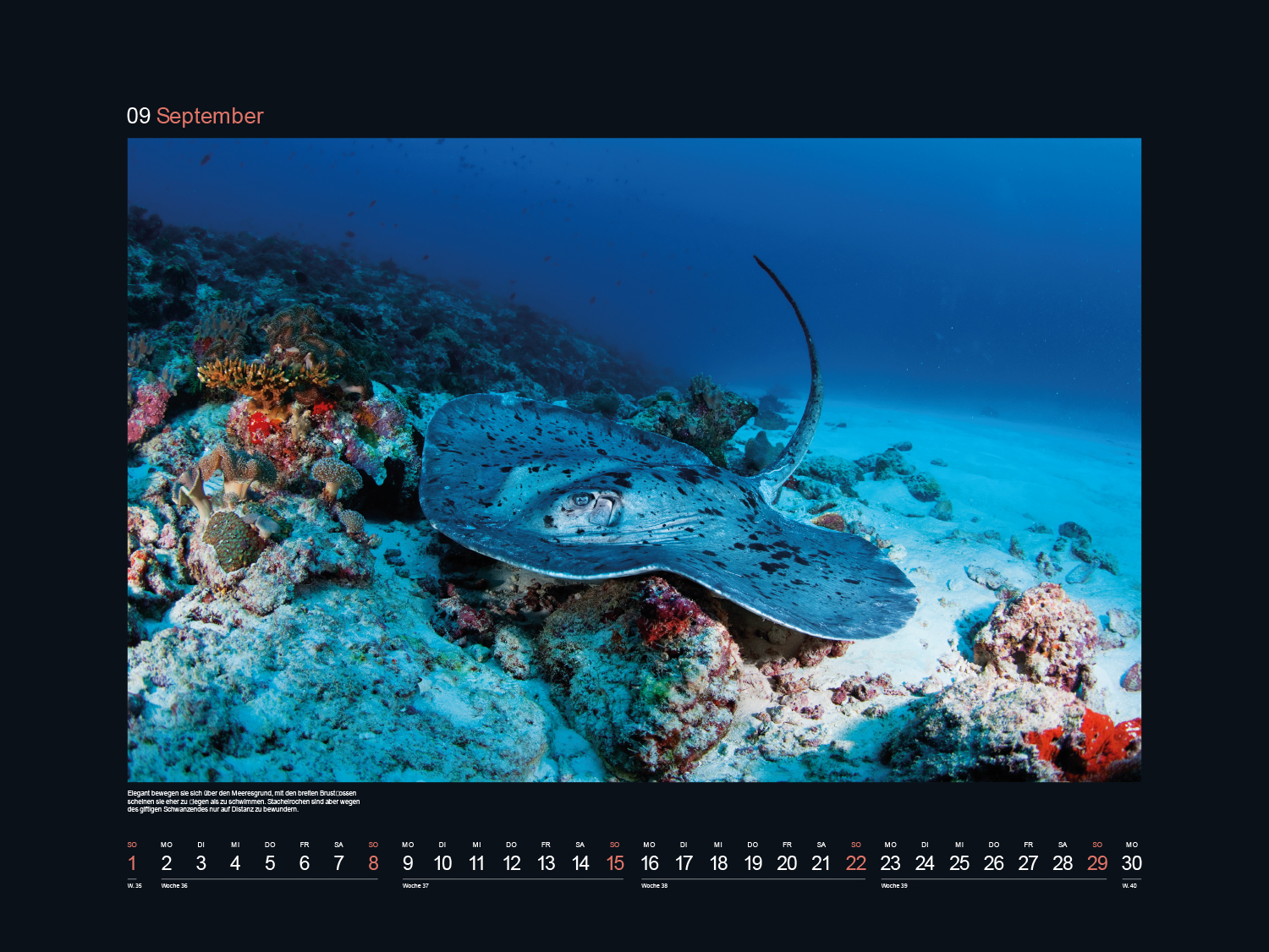 9783965912465_innenansicht_10 9783965912465_innenansicht_10.jpg