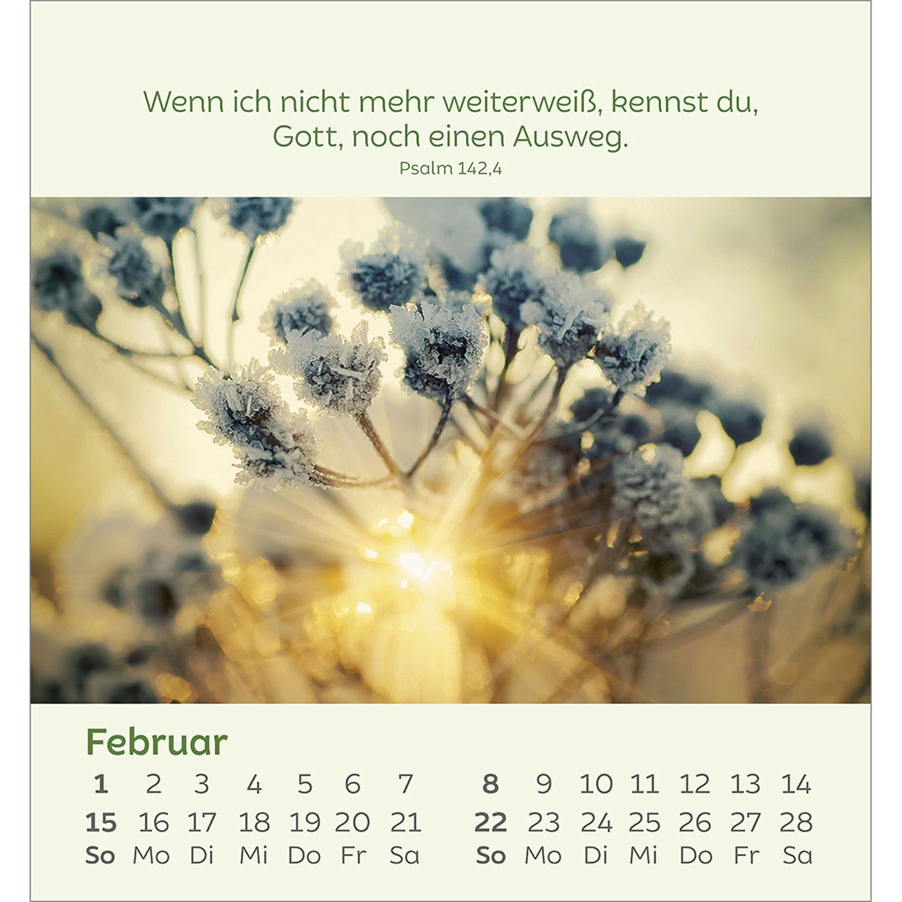 9783754847060_innenansicht_02.jpg