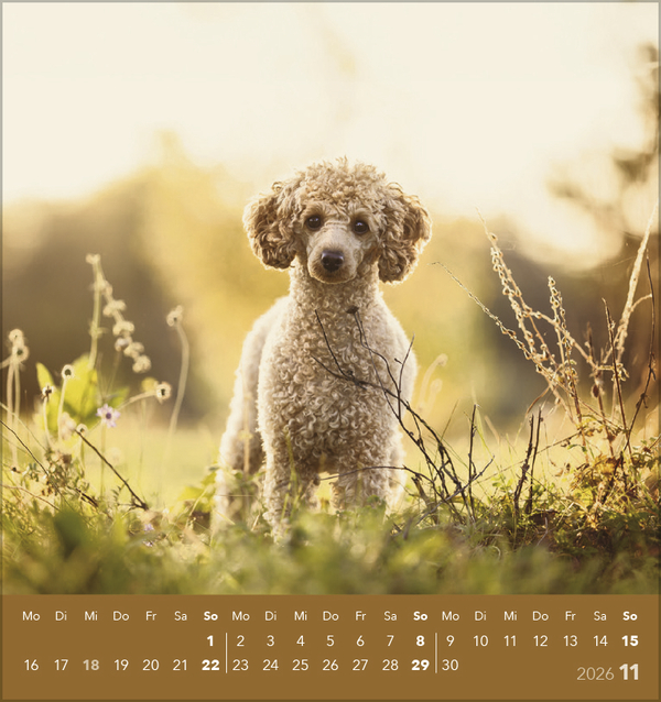 9783731884064_innenansicht_11 9783731884064_innenansicht_11.jpg