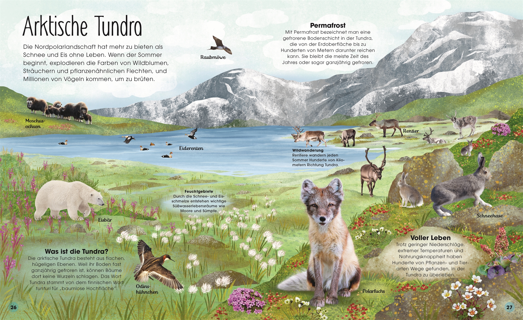 9783831047536_innenansicht_05 9783831047536_innenansicht_05.jpg