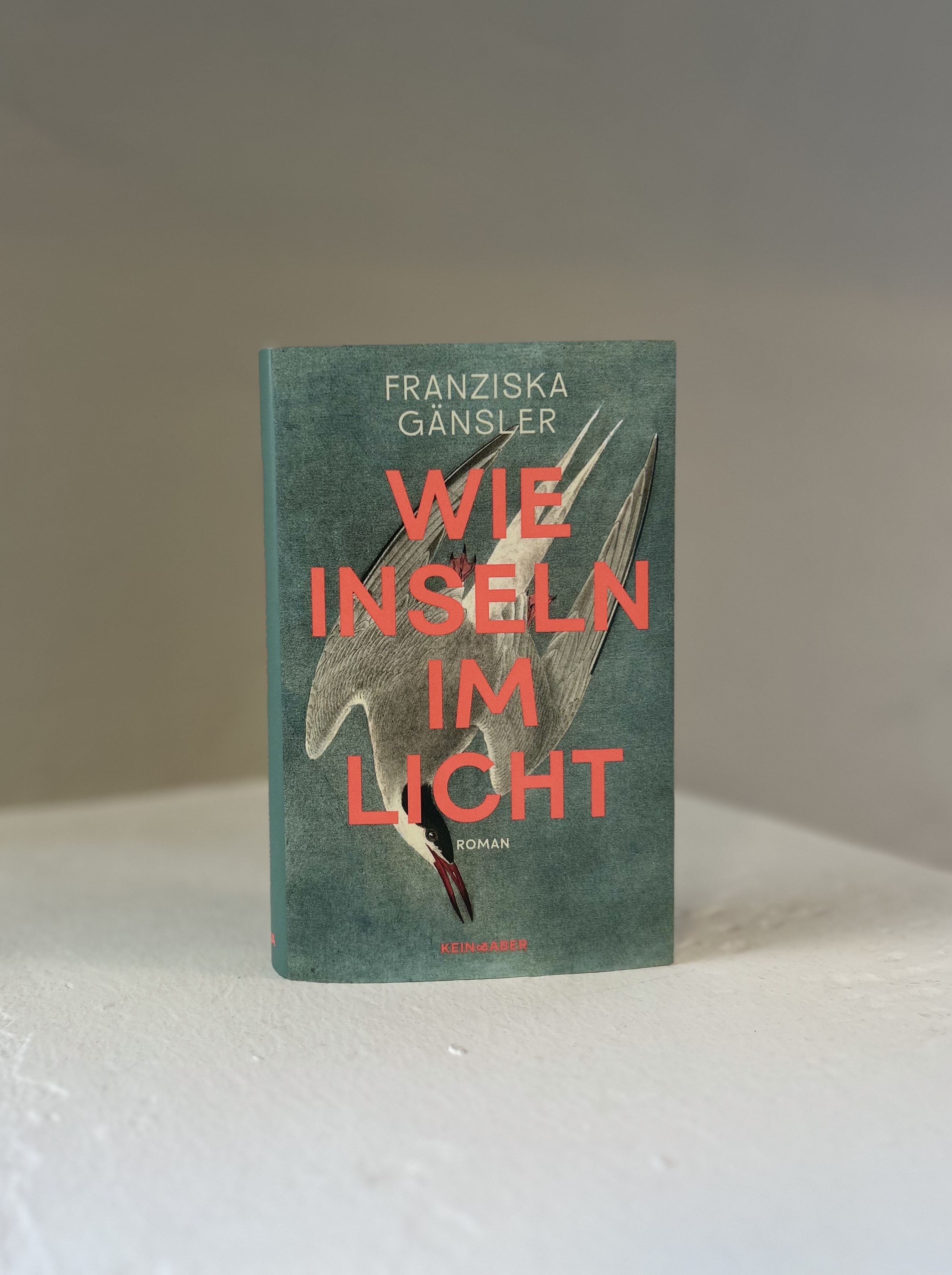 9783036950341_produktbild_01 9783036950341_produktbild_01.jpg