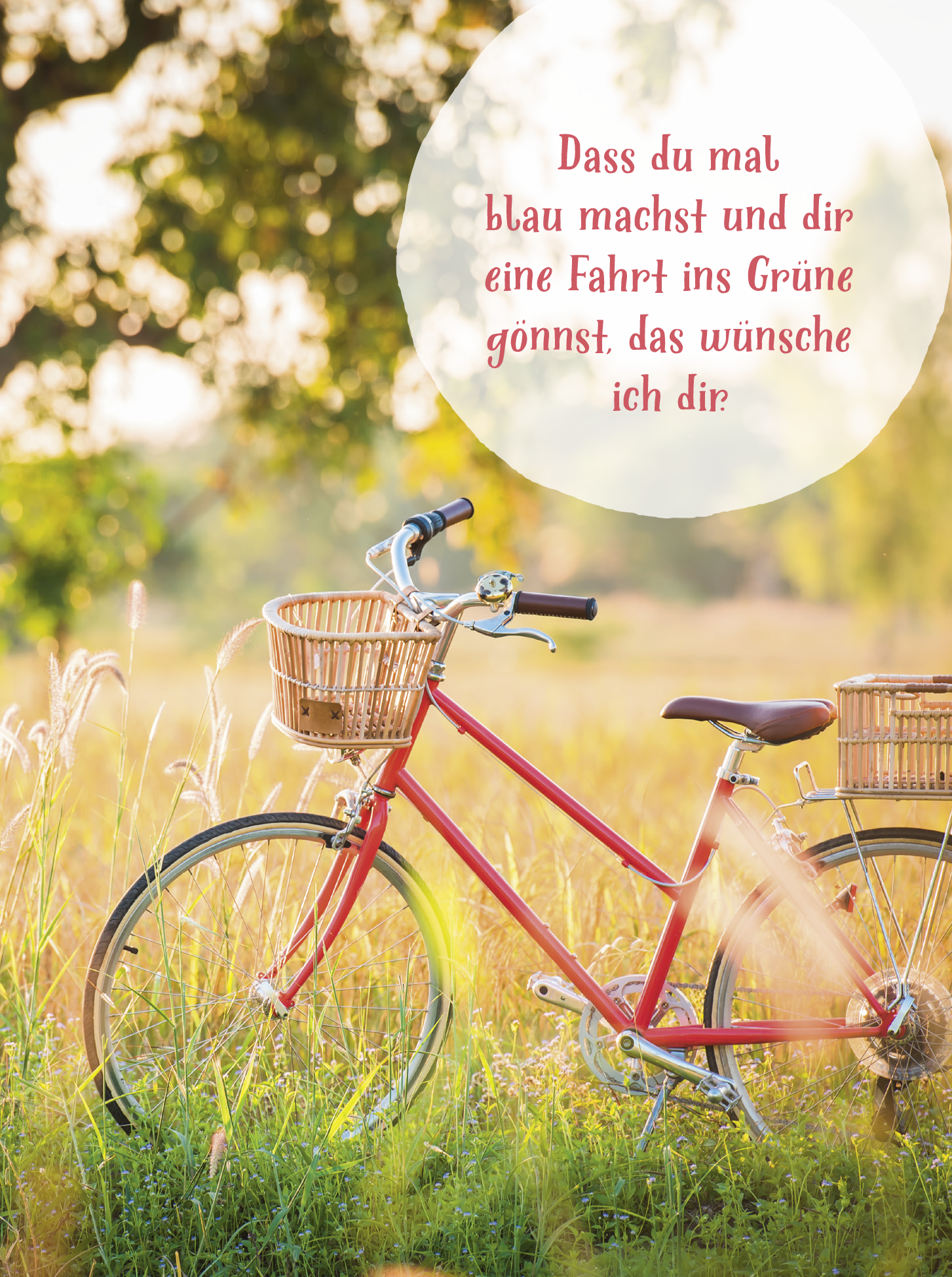 9783848503964_innenansicht_01.png