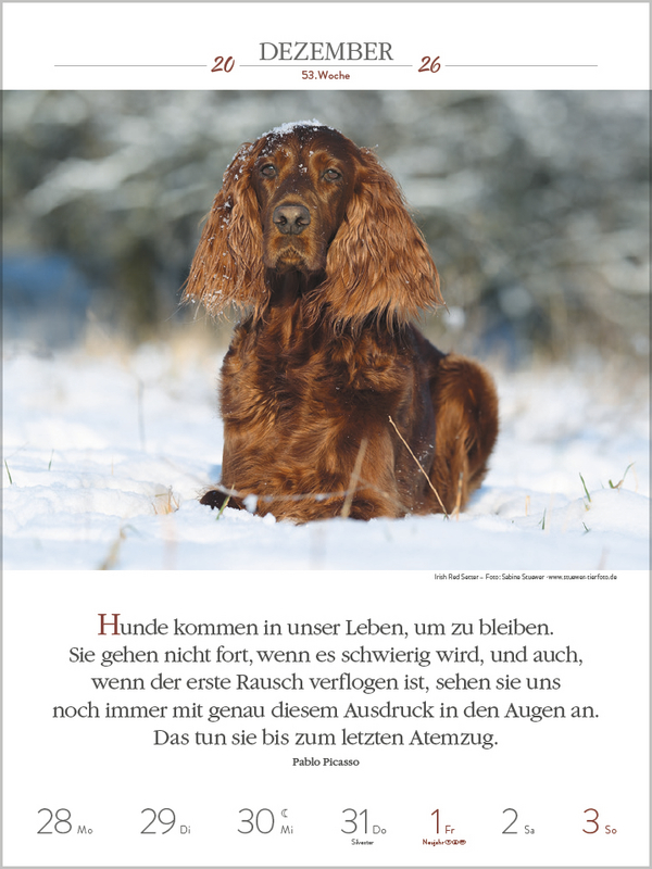 9783731884392_innenansicht_13.jpg