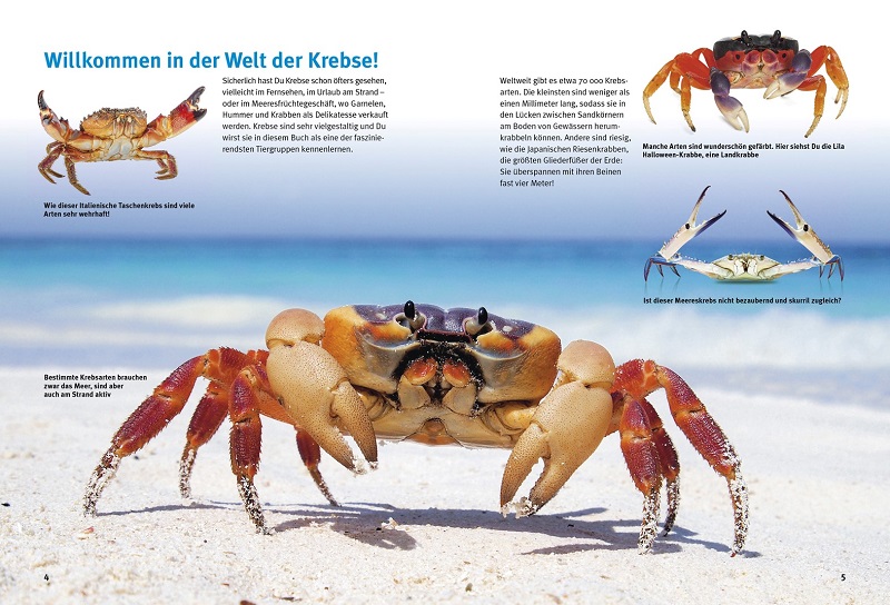 9783866595040_innenansicht_01 9783866595040_innenansicht_01.jpg