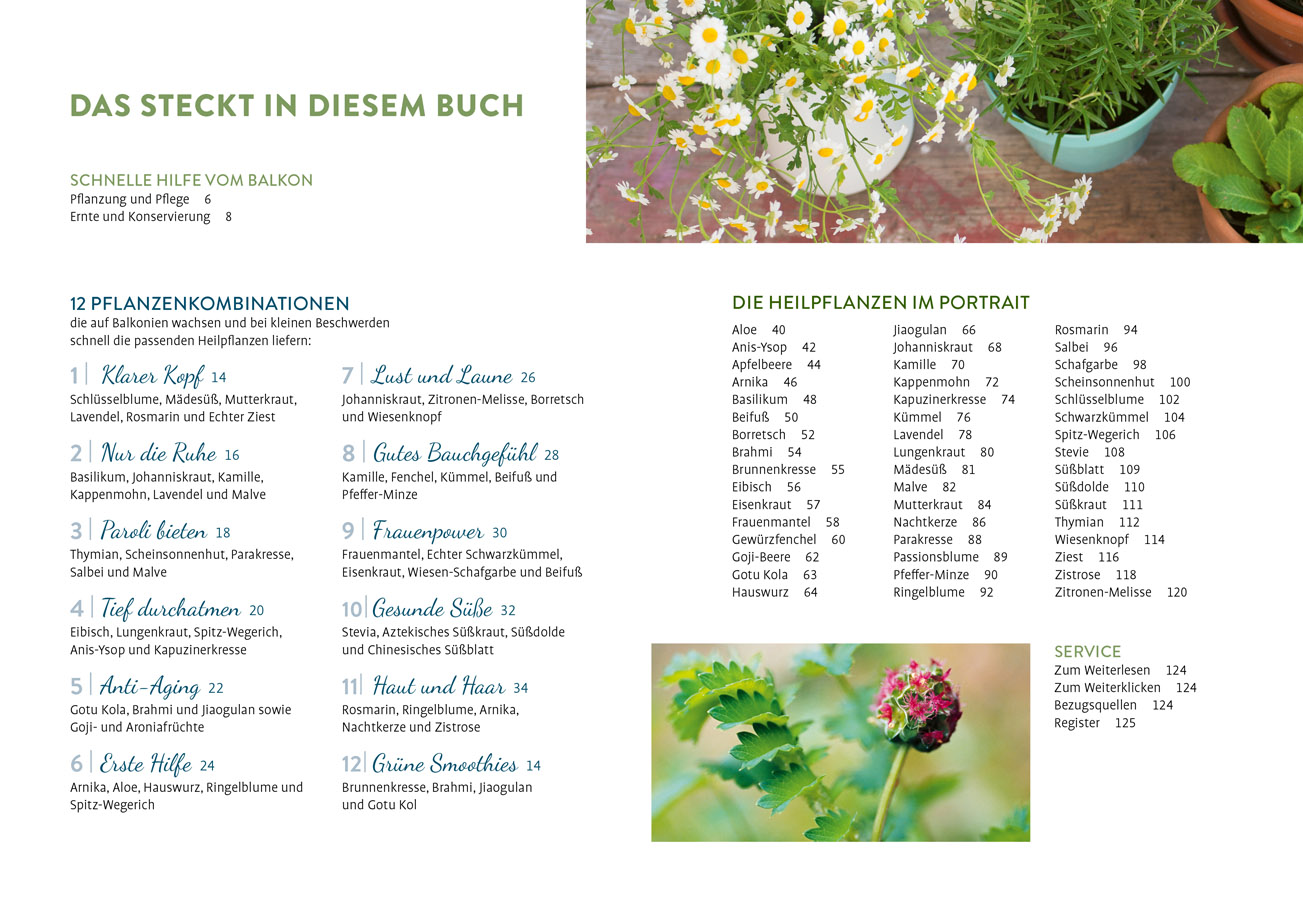 9783818622282_innenansicht_01.jpg