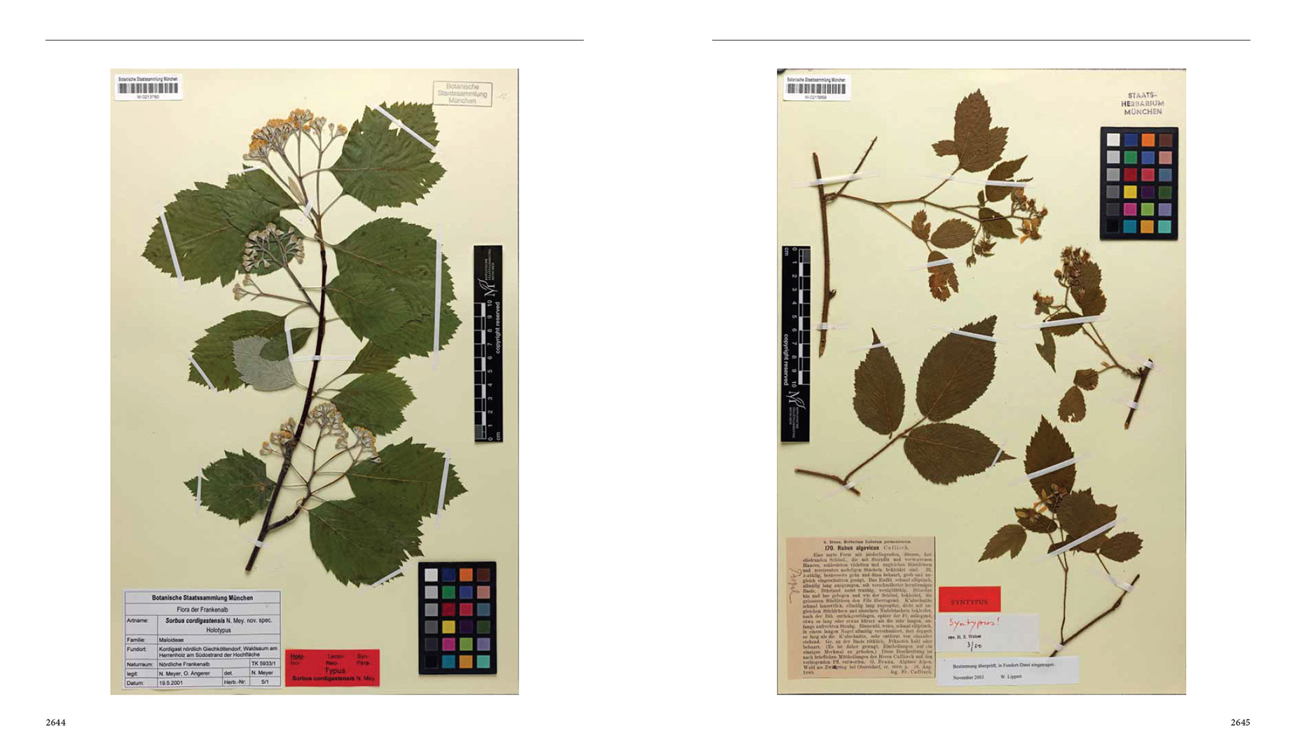 9783258083599_innenansicht_04 9783258083599_innenansicht_04.jpg