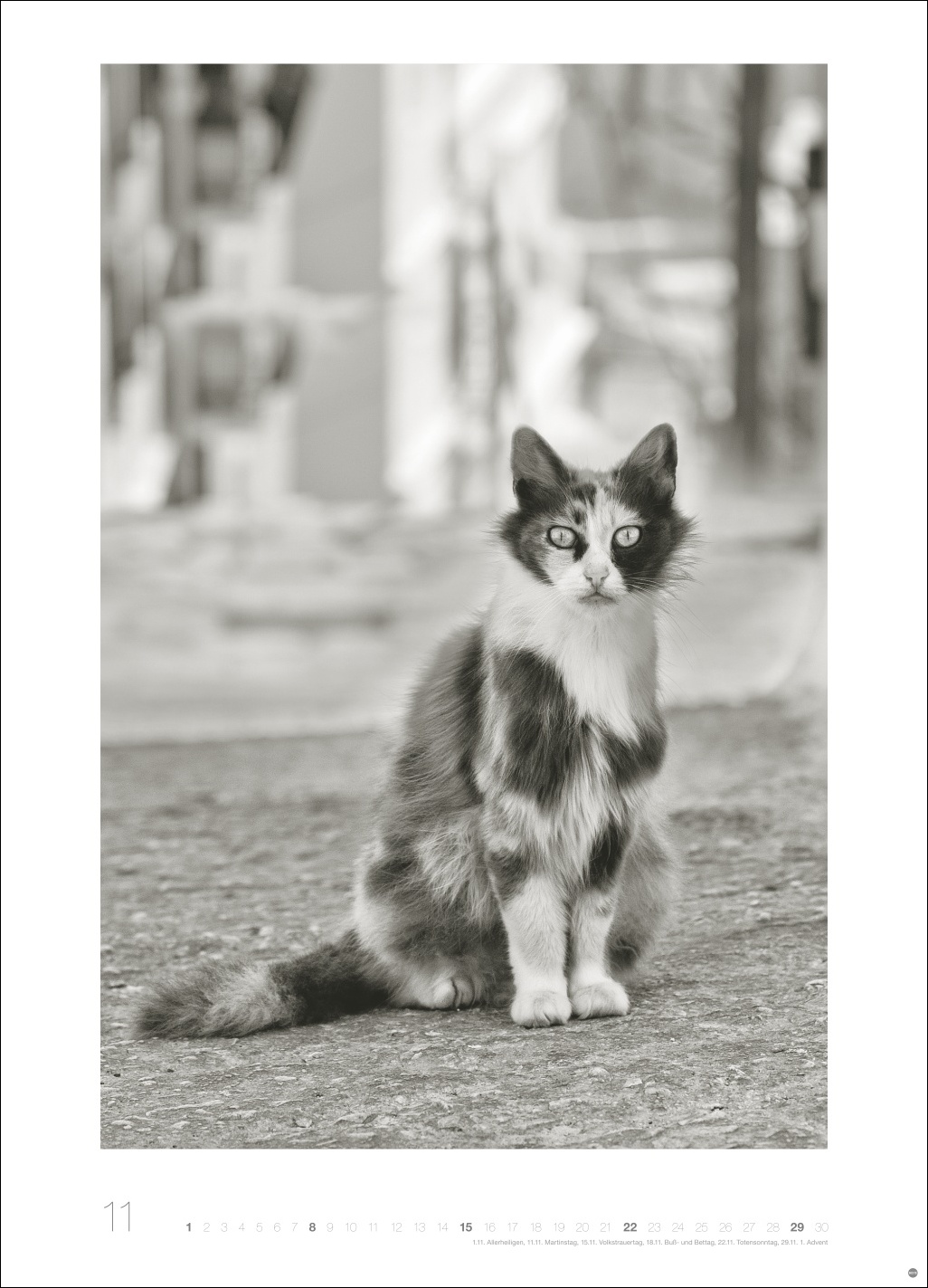 9783756411313_innenansicht_11 9783756411313_innenansicht_11.jpg