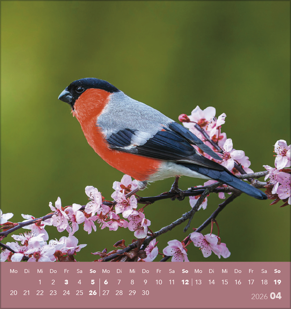 9783731890225_innenansicht_04 9783731890225_innenansicht_04.jpg