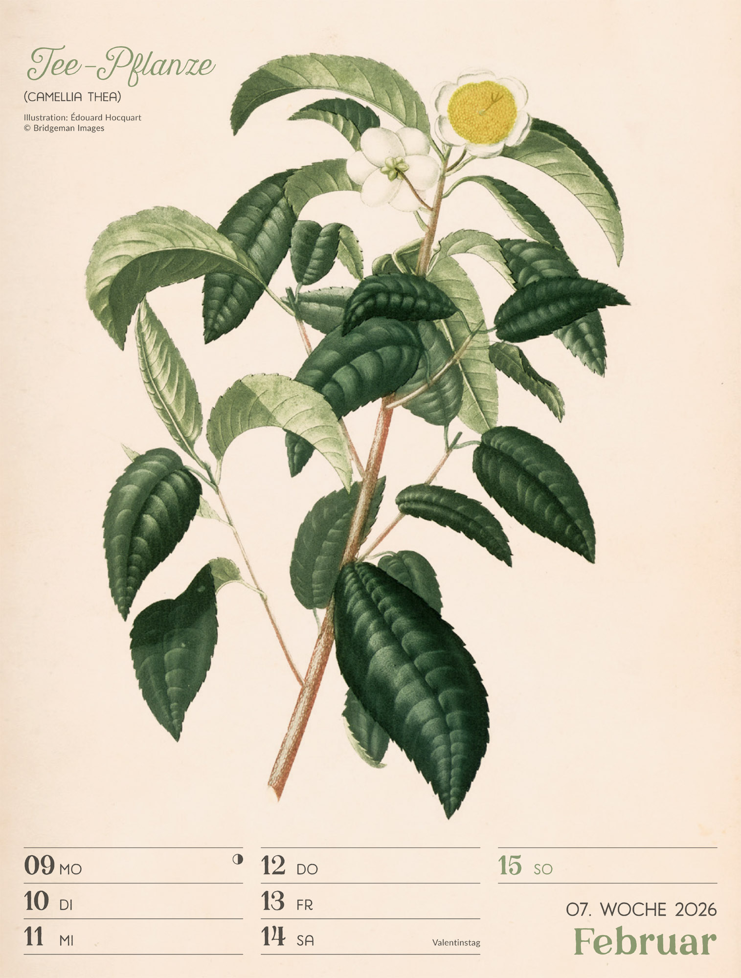 9783838436128_innenansicht_10 9783838436128_innenansicht_10.jpg