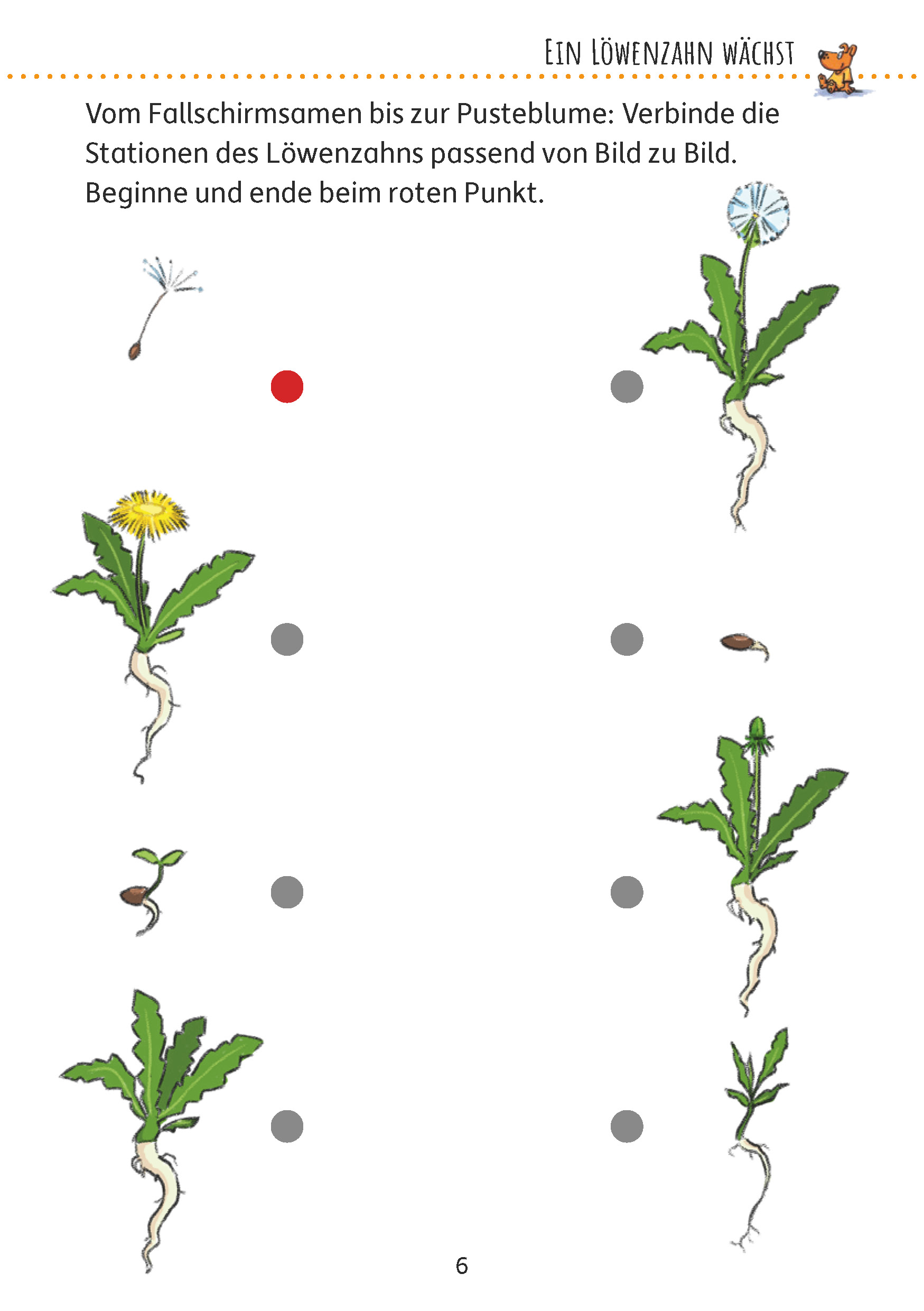 9783881006491_innenansicht_02 9783881006491_innenansicht_02.jpg