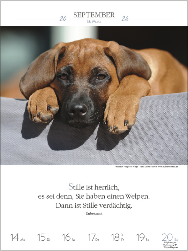 9783731884392_innenansicht_08.jpg