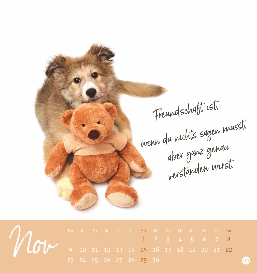 9783756411566_innenansicht_11.jpg