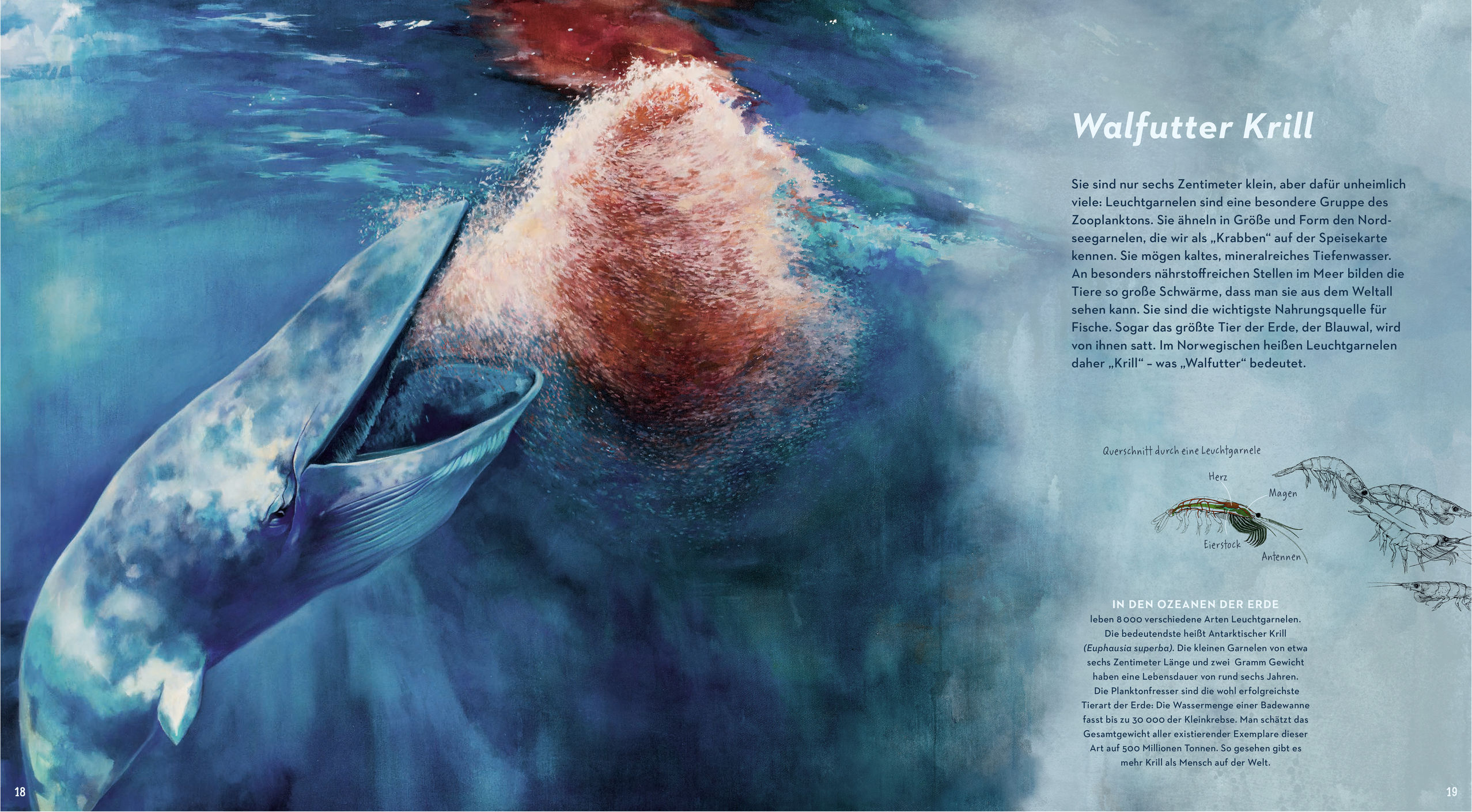 9783791373898_innenansicht_02 9783791373898_innenansicht_02.jpg