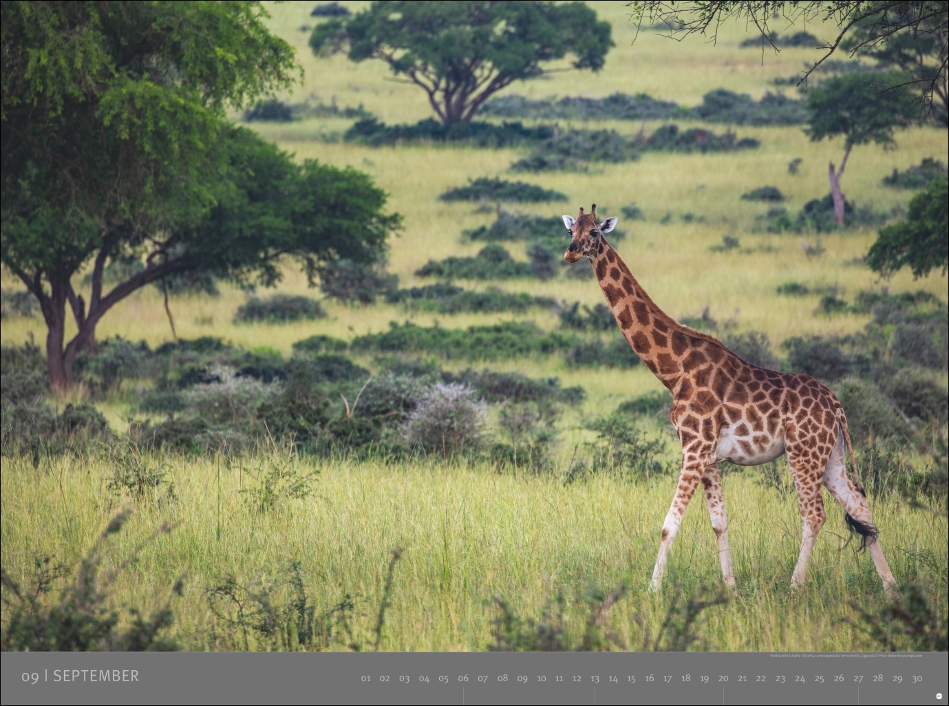 9783756410545_innenansicht_09 9783756410545_innenansicht_09.jpg