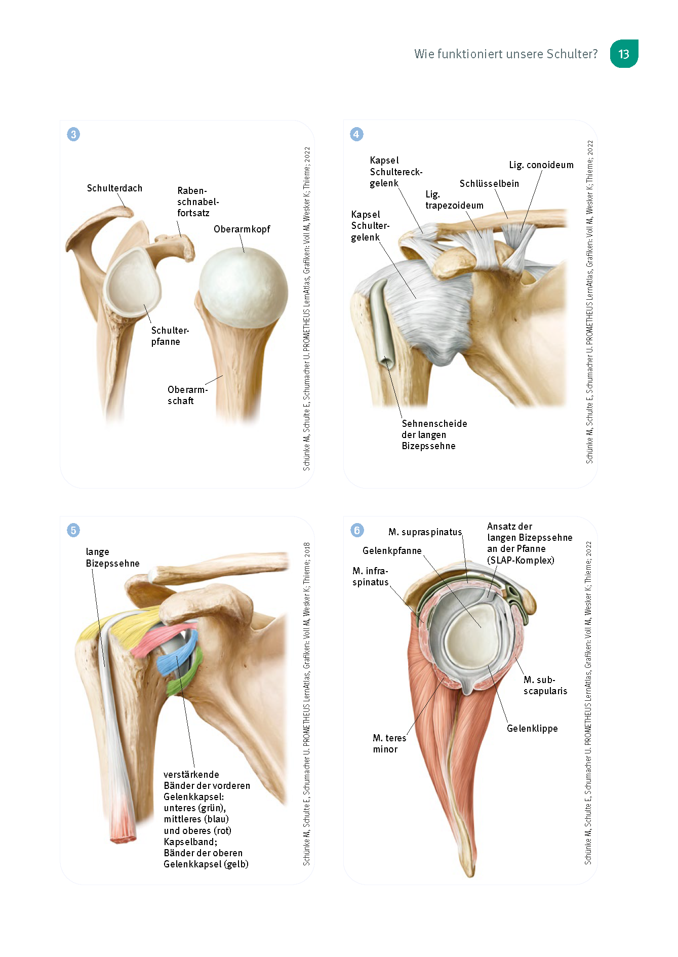 9783432117294_innenansicht_11 9783432117294_innenansicht_11.png