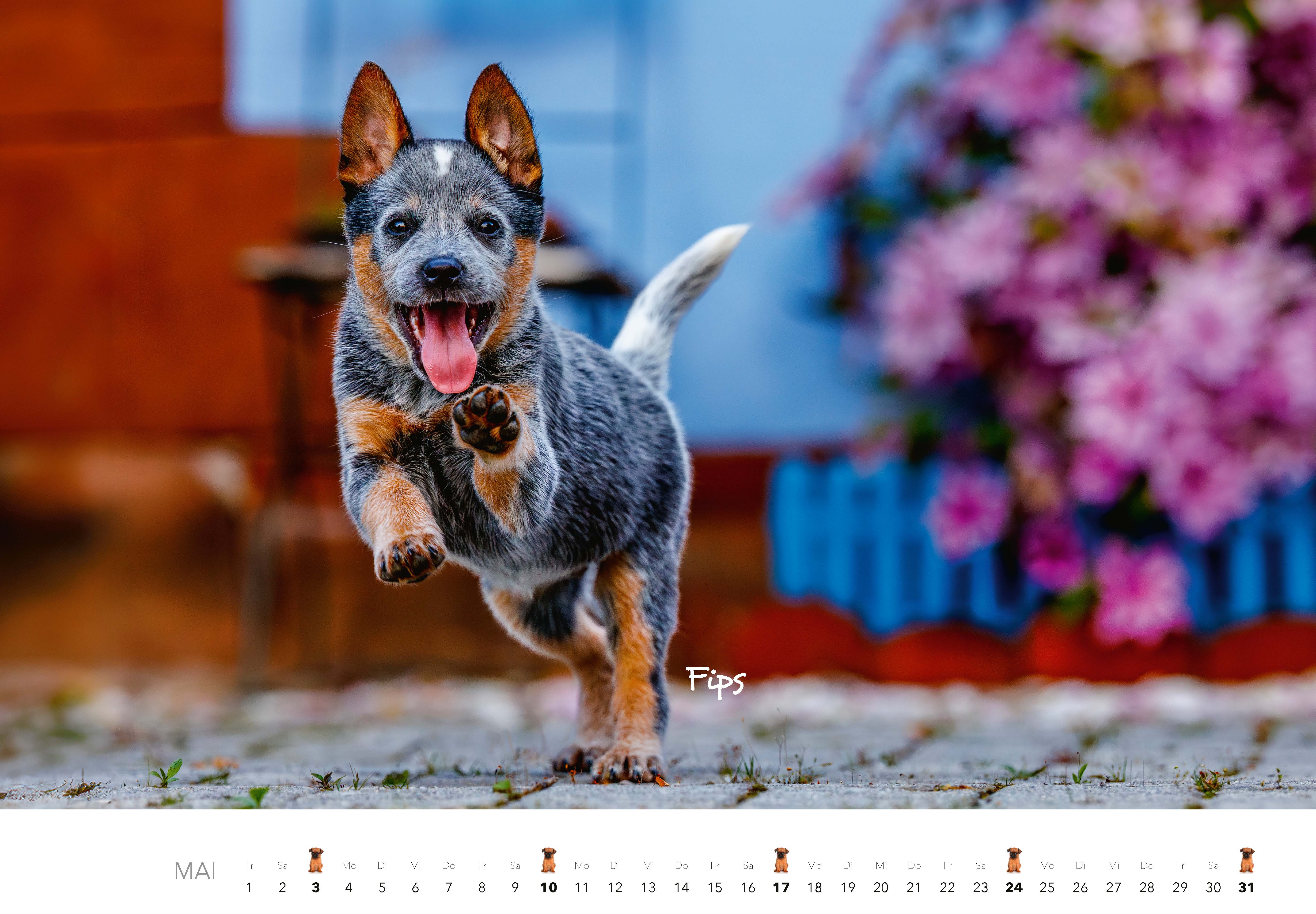 9783966649704_innenansicht_05 9783966649704_innenansicht_05.jpg