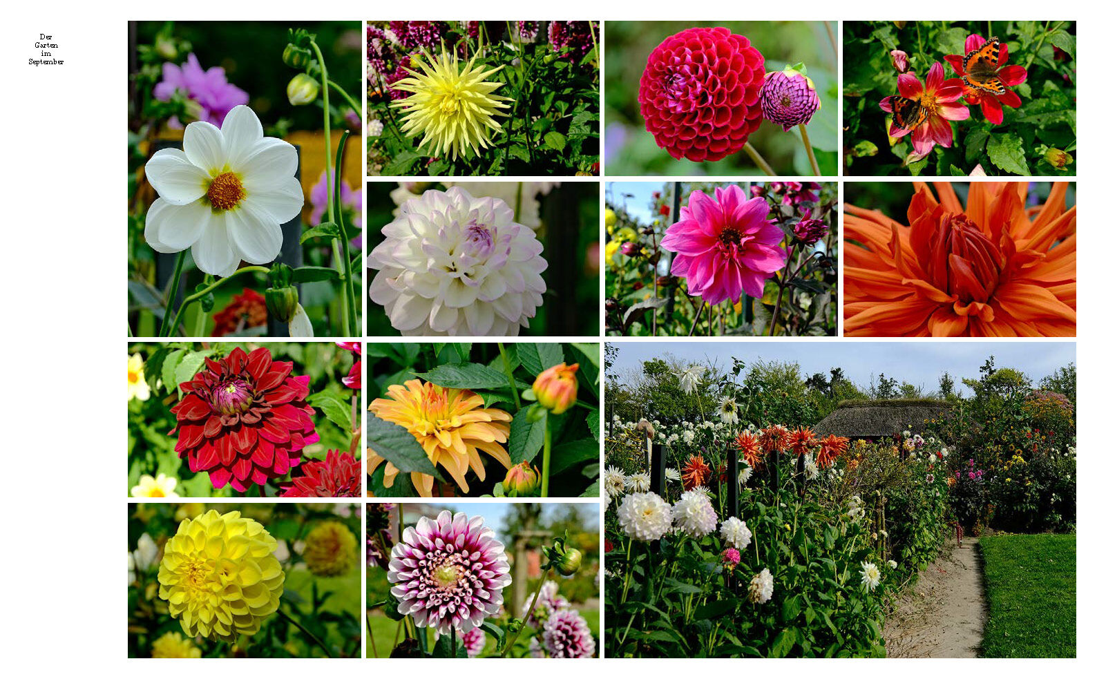 9783791377773_innenansicht_08 9783791377773_innenansicht_08.jpg