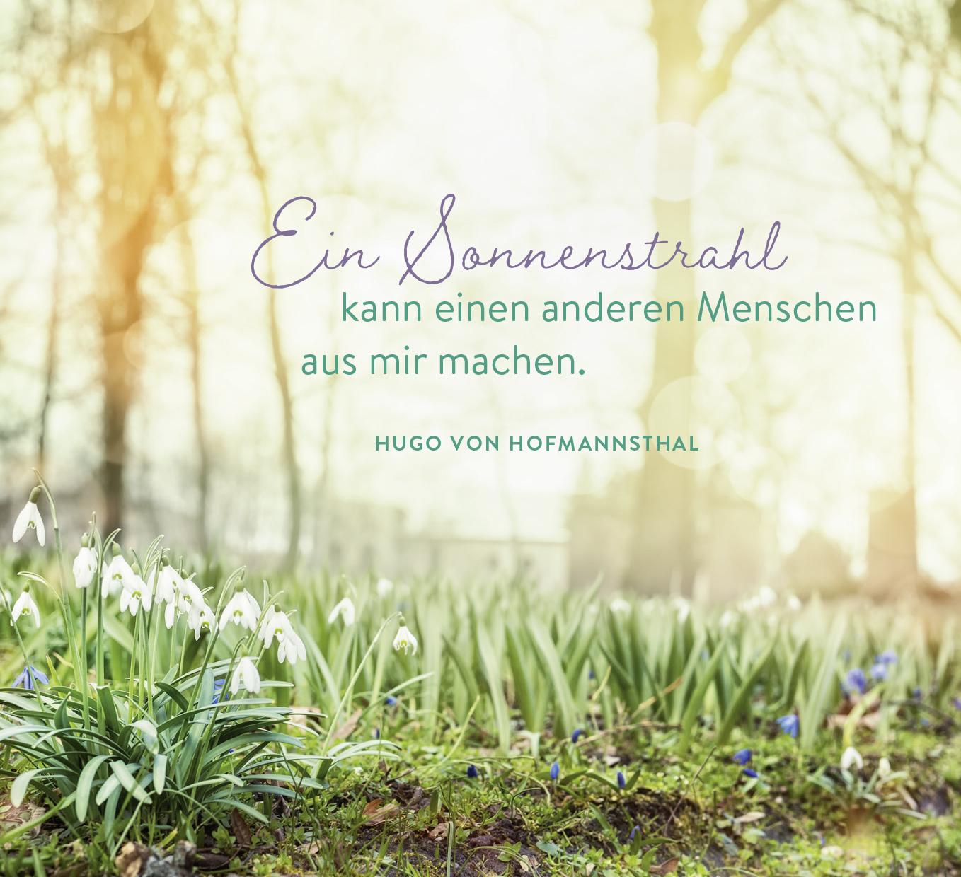 9783848502042_innenansicht_04.jpg
