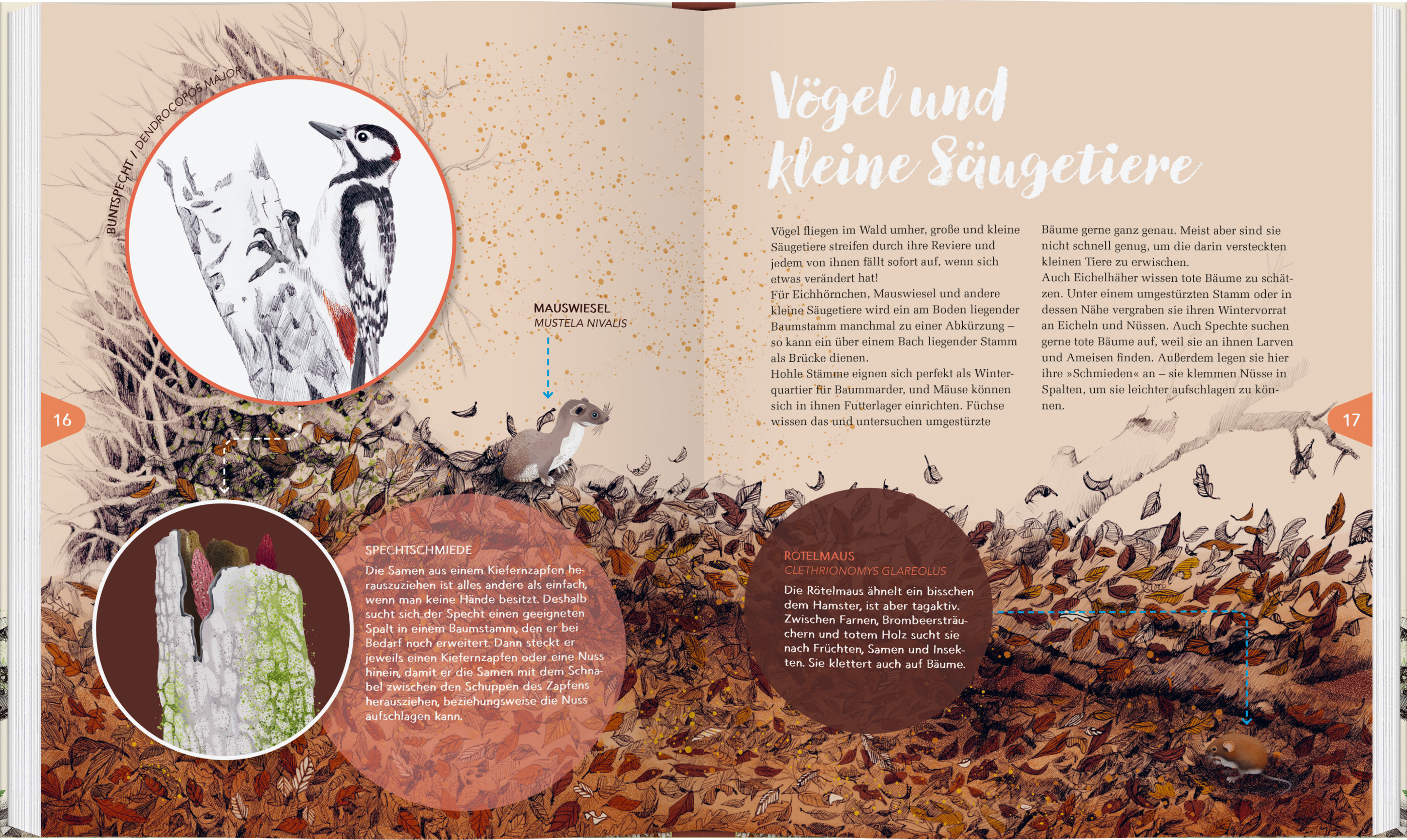 9783836963466_innenansicht_01 9783836963466_innenansicht_01.jpg