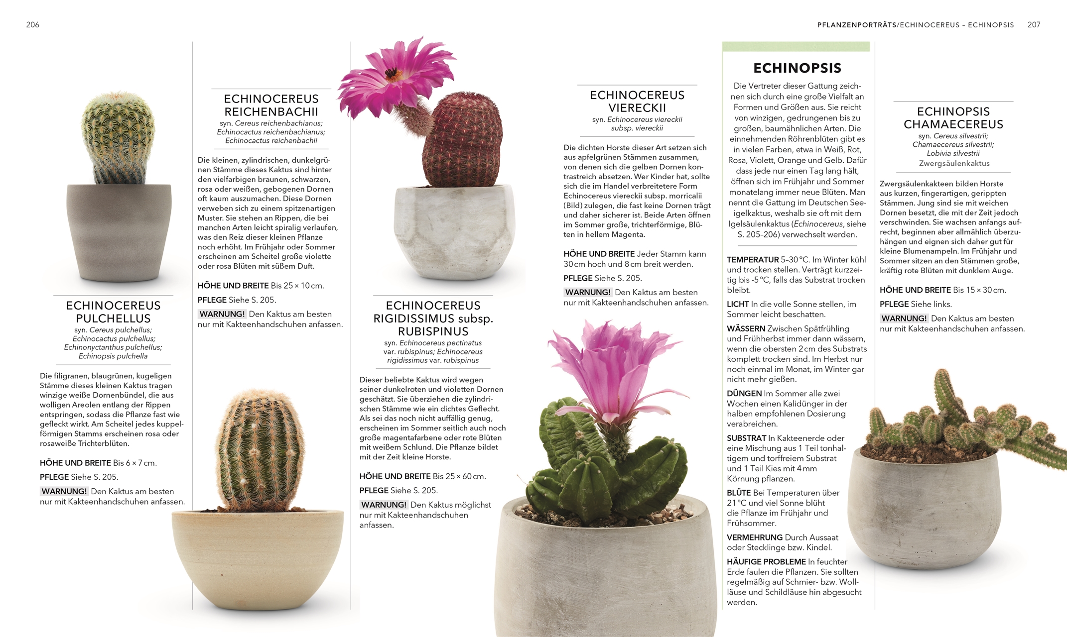 9783831049264_innenansicht_07 9783831049264_innenansicht_07.jpg