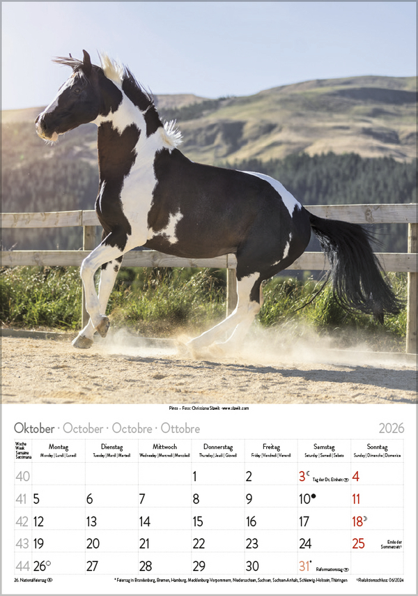 9783731883623_innenansicht_10 9783731883623_innenansicht_10.jpg