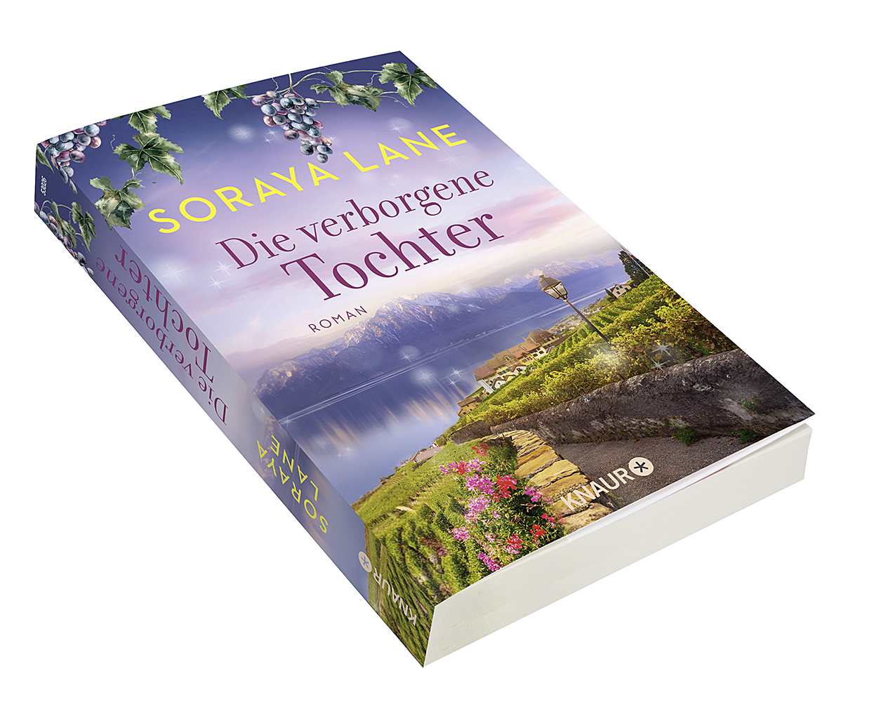 9783426530269_innenansicht_03 9783426530269_innenansicht_03.png