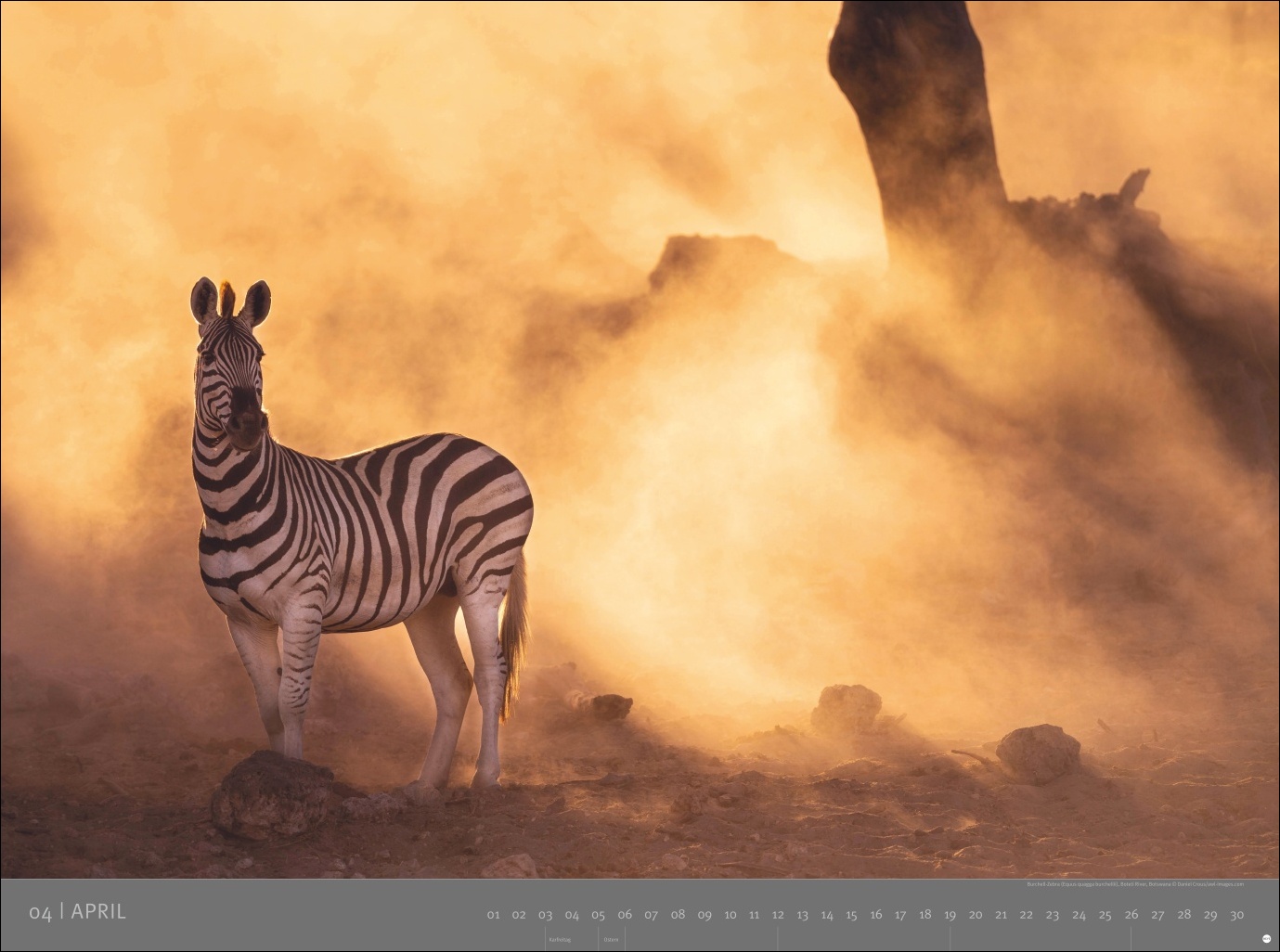 9783756410545_innenansicht_04 9783756410545_innenansicht_04.jpg