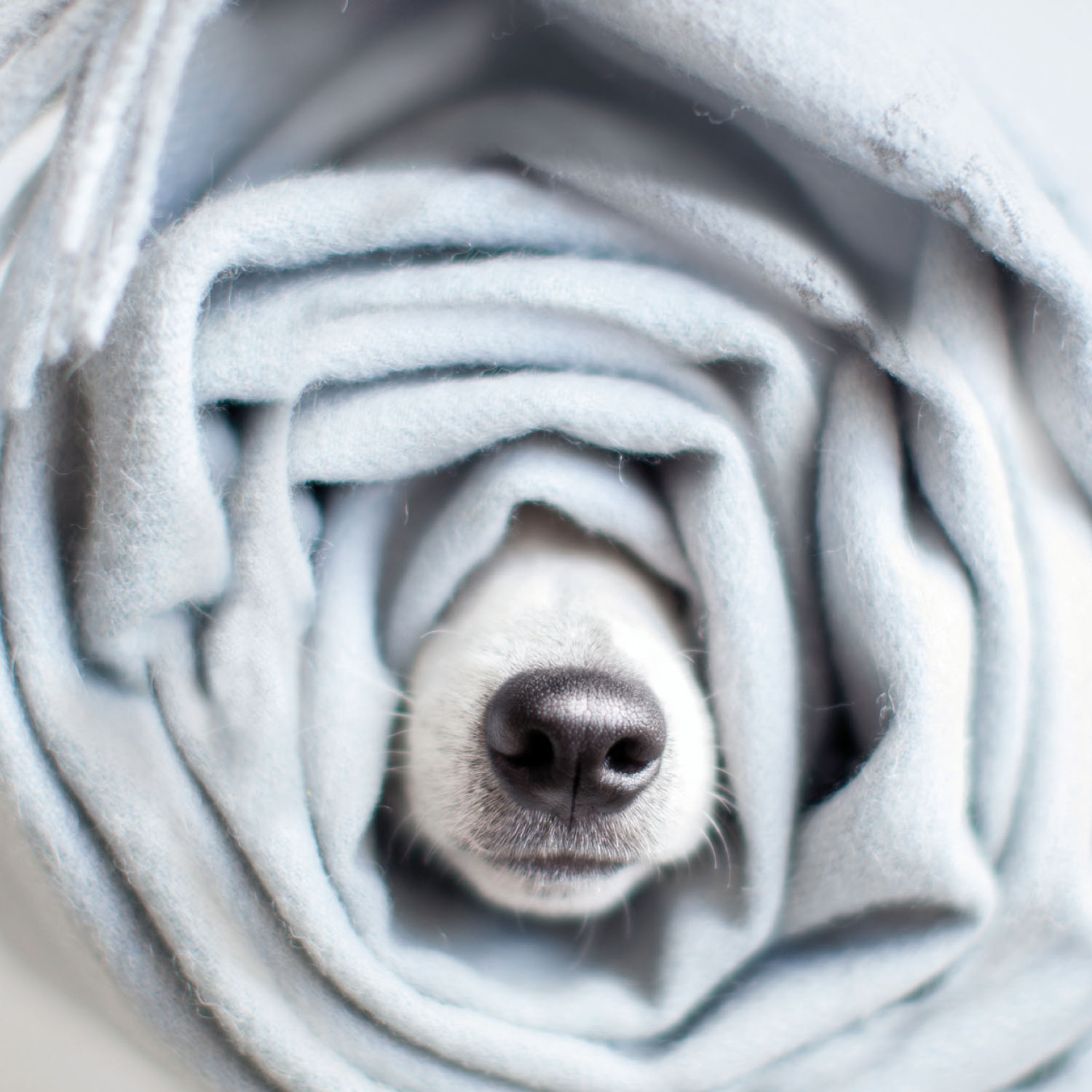 4027537000729_innenansicht_05 4027537000729_innenansicht_05.jpg