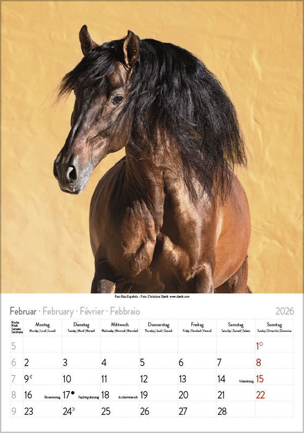 9783731883623_innenansicht_02 9783731883623_innenansicht_02.jpg