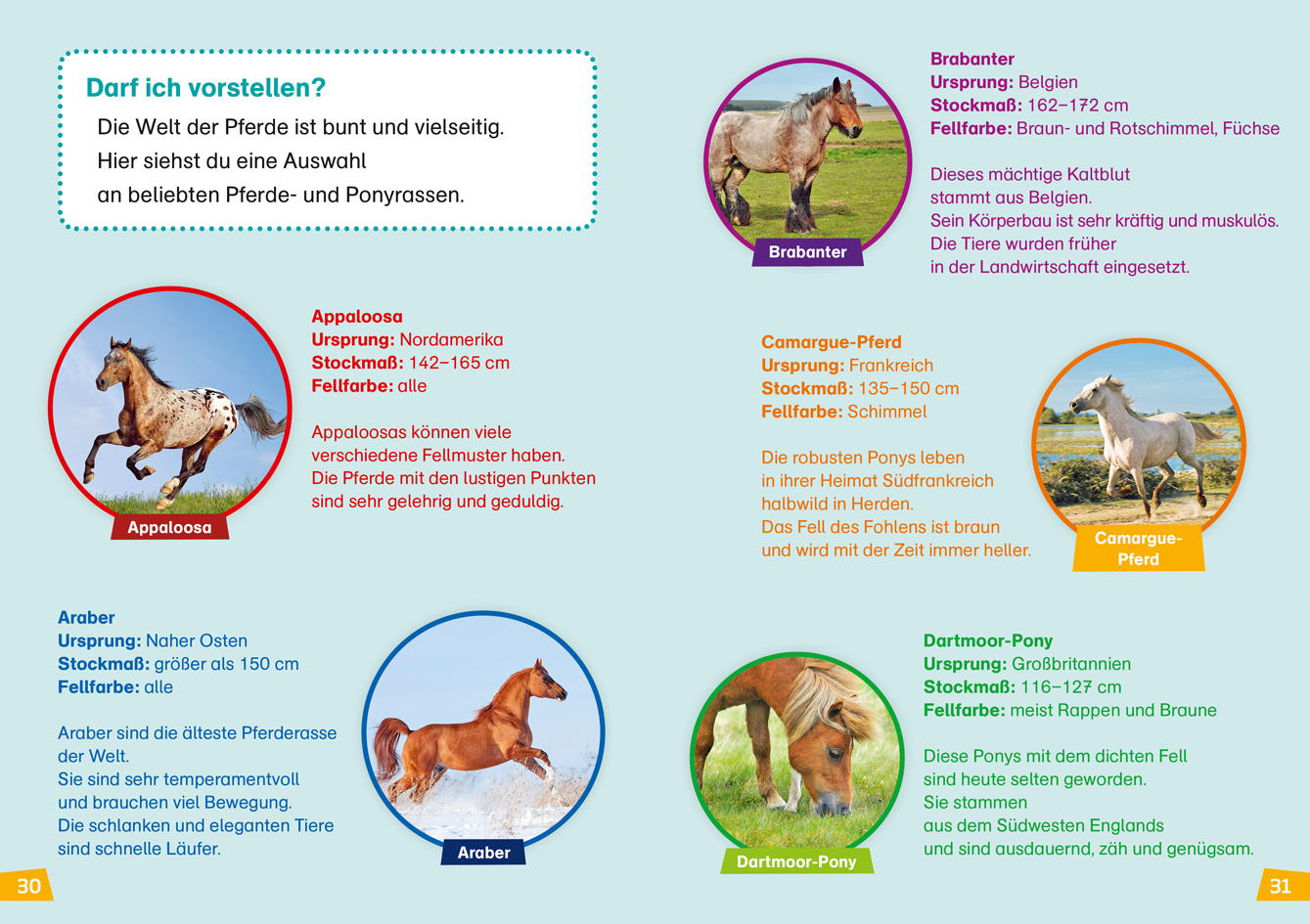 9783788626440_innenansicht_06 9783788626440_innenansicht_06.jpg