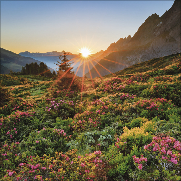 9783731875567_innenansicht_05 9783731875567_innenansicht_05.jpg