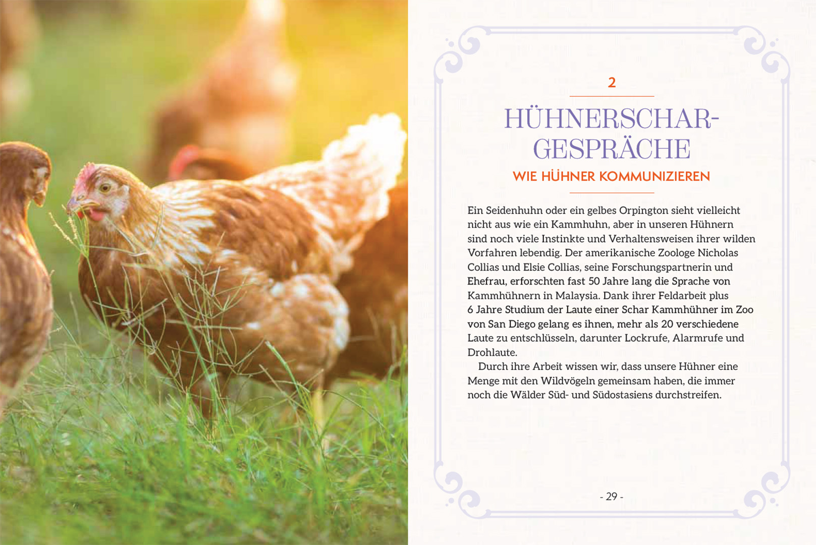 9783258084503_innenansicht_03 9783258084503_innenansicht_03.jpg