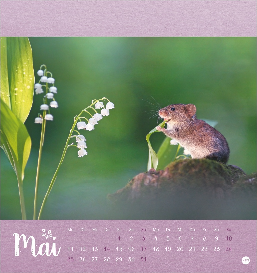 9783756411689_innenansicht_05 9783756411689_innenansicht_05.jpg