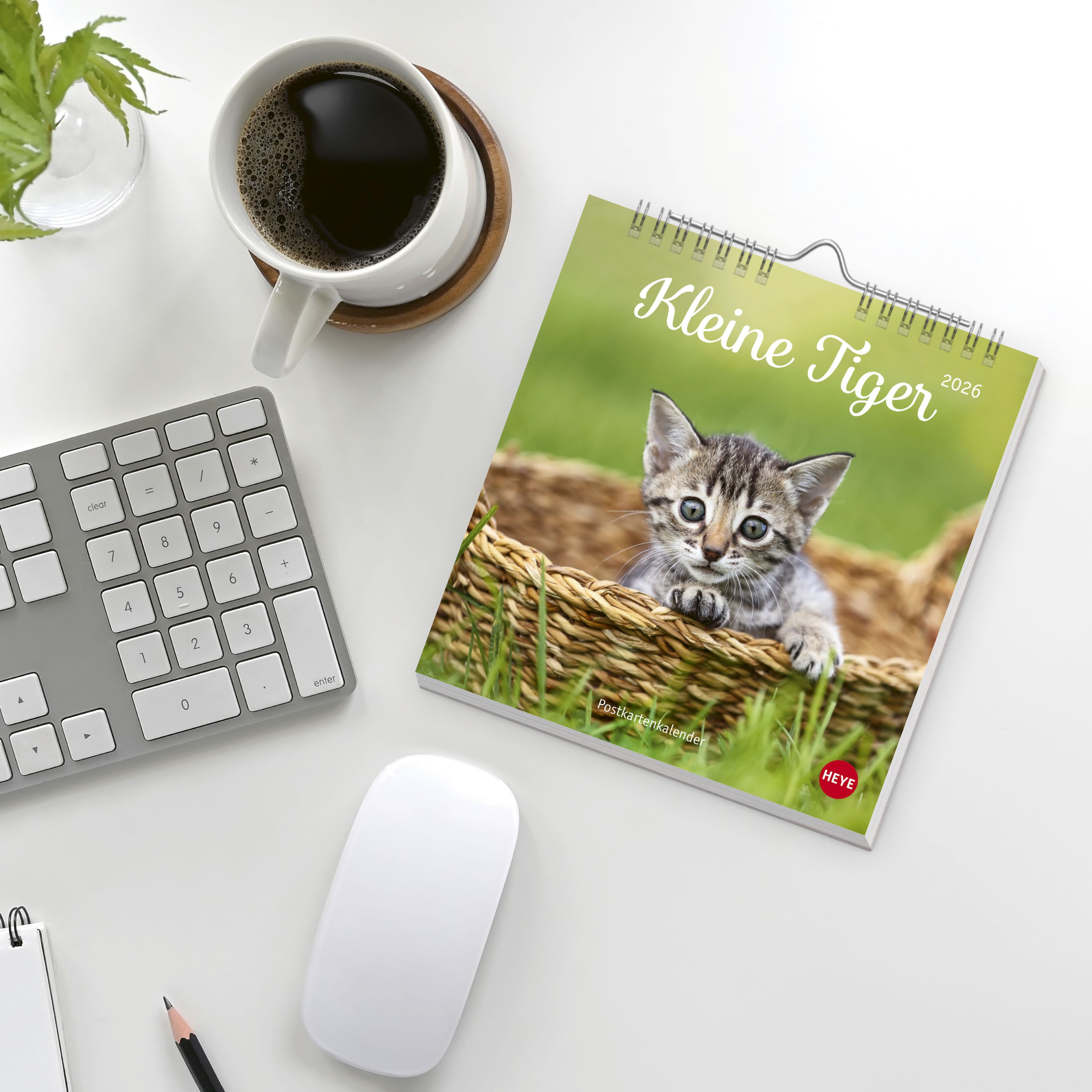 9783756410460_weiterecover_01 9783756410460_weiterecover_01.jpg