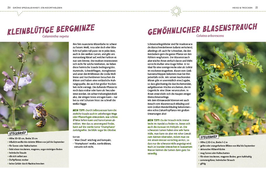 9783818617523_innenansicht_04 9783818617523_innenansicht_04.jpg