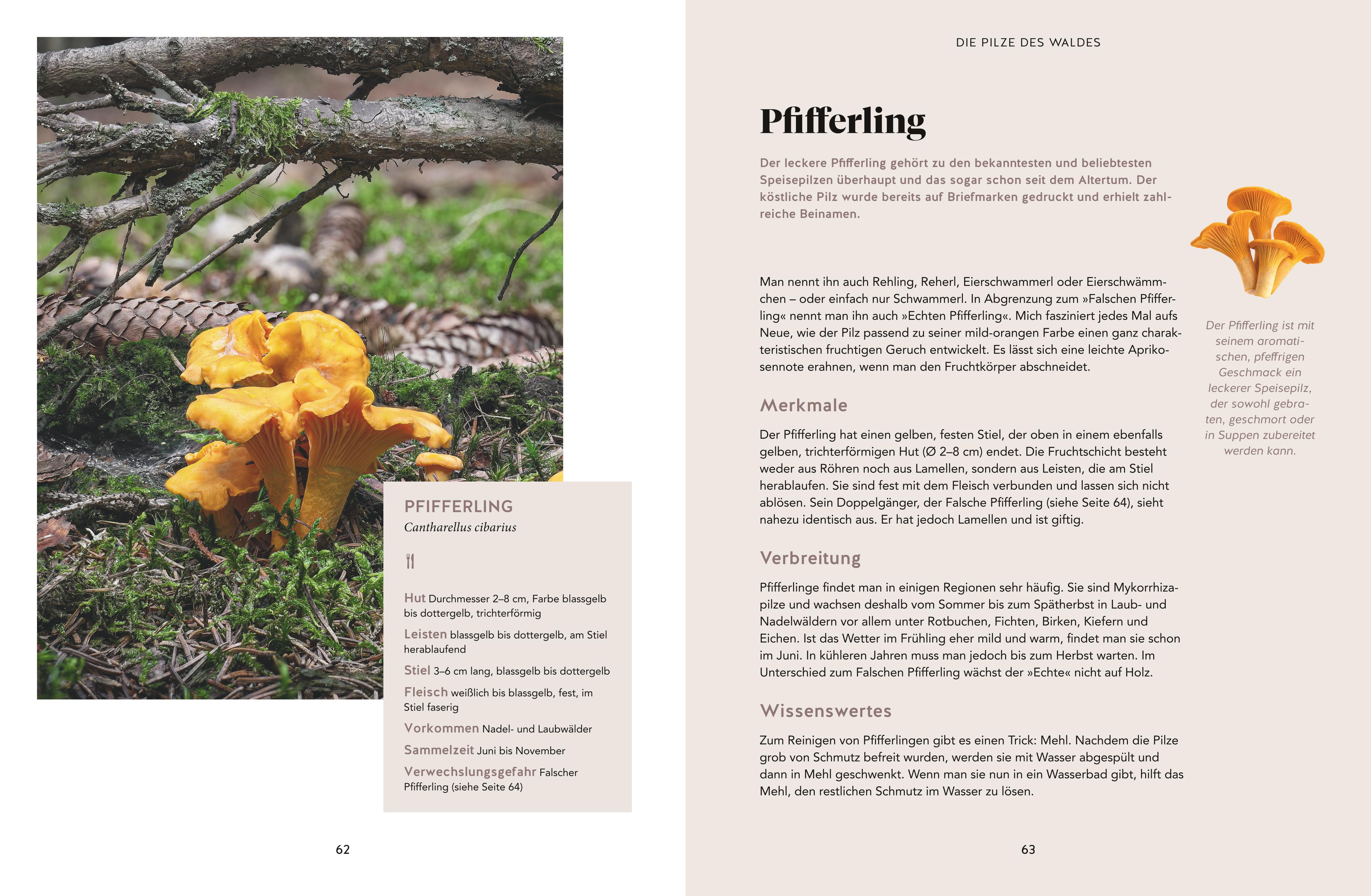 9783833889844_innenansicht_03 9783833889844_innenansicht_03.jpg