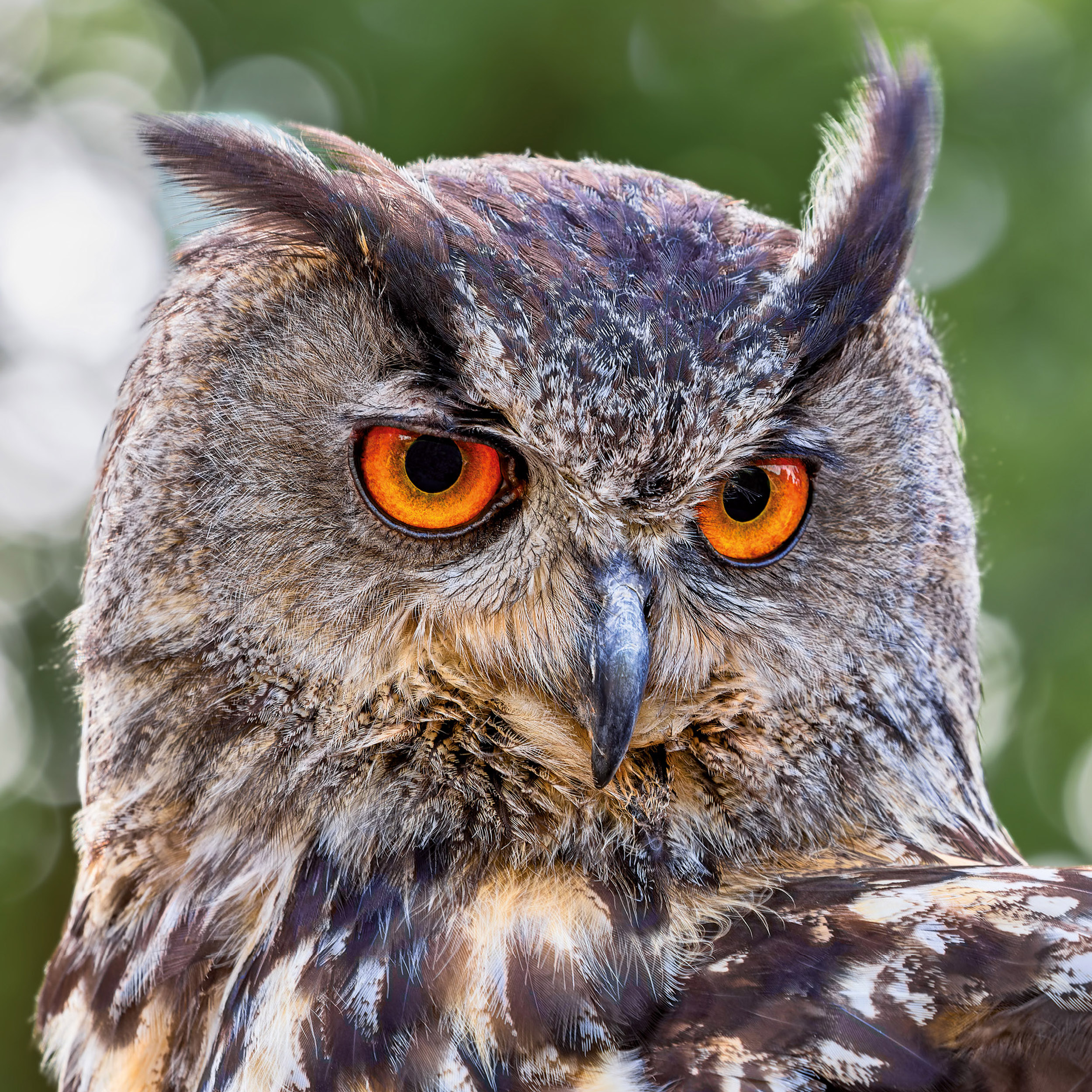 9783959295208_innenansicht_04 9783959295208_innenansicht_04.jpg