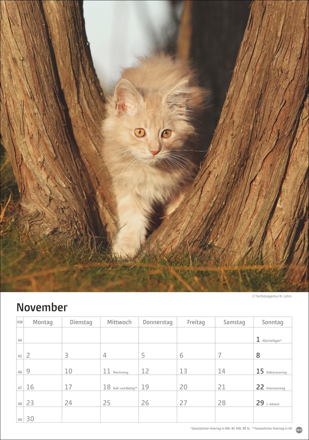 9783756411139_innenansicht_11 9783756411139_innenansicht_11.jpg