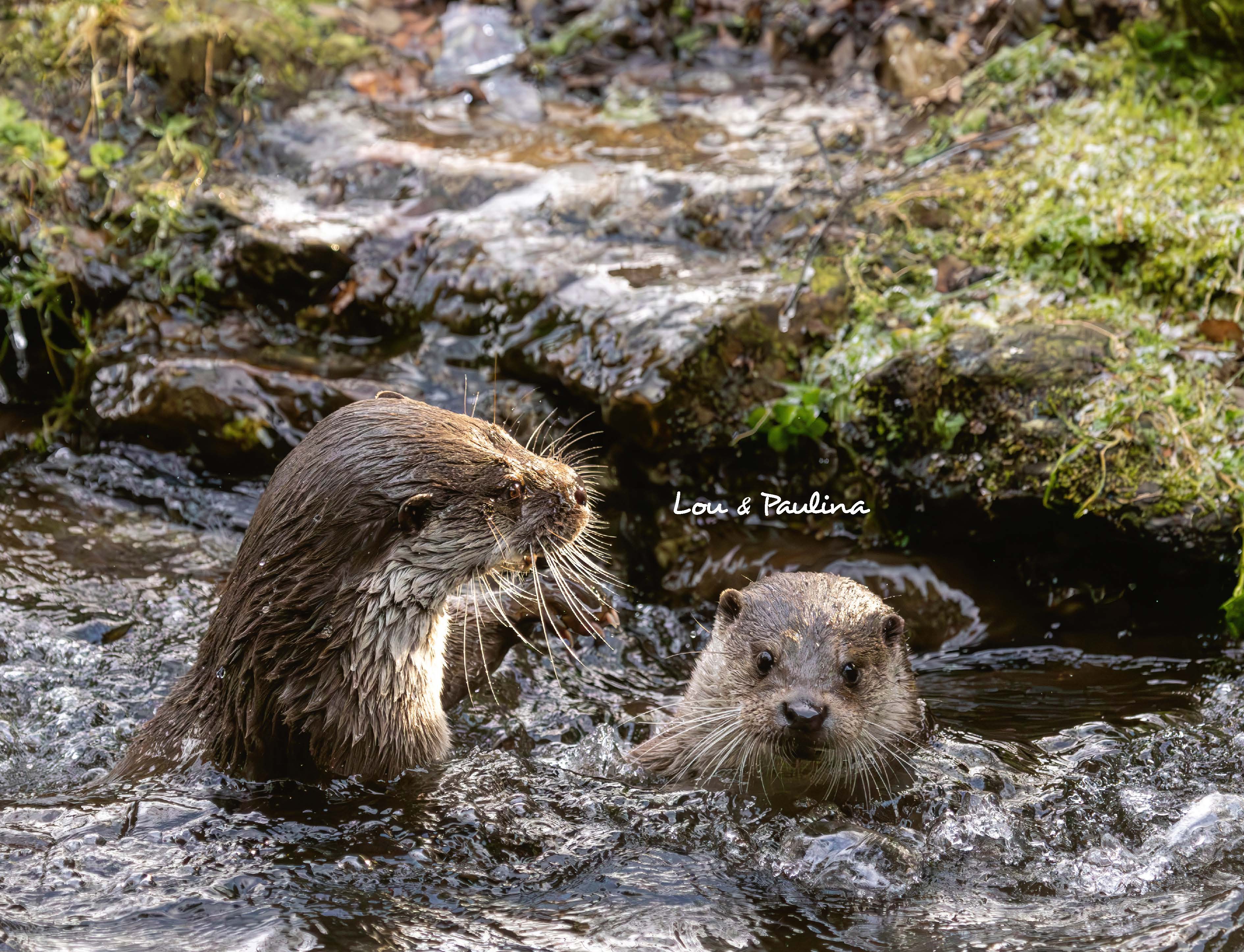 9783966649964_innenansicht_17 9783966649964_innenansicht_17.jpg