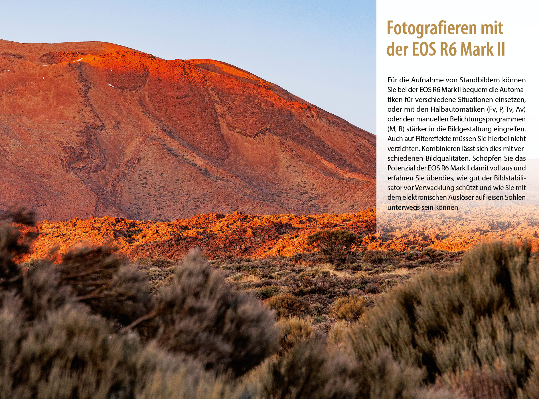 9783832805883_innenansicht_05 9783832805883_innenansicht_05.jpg