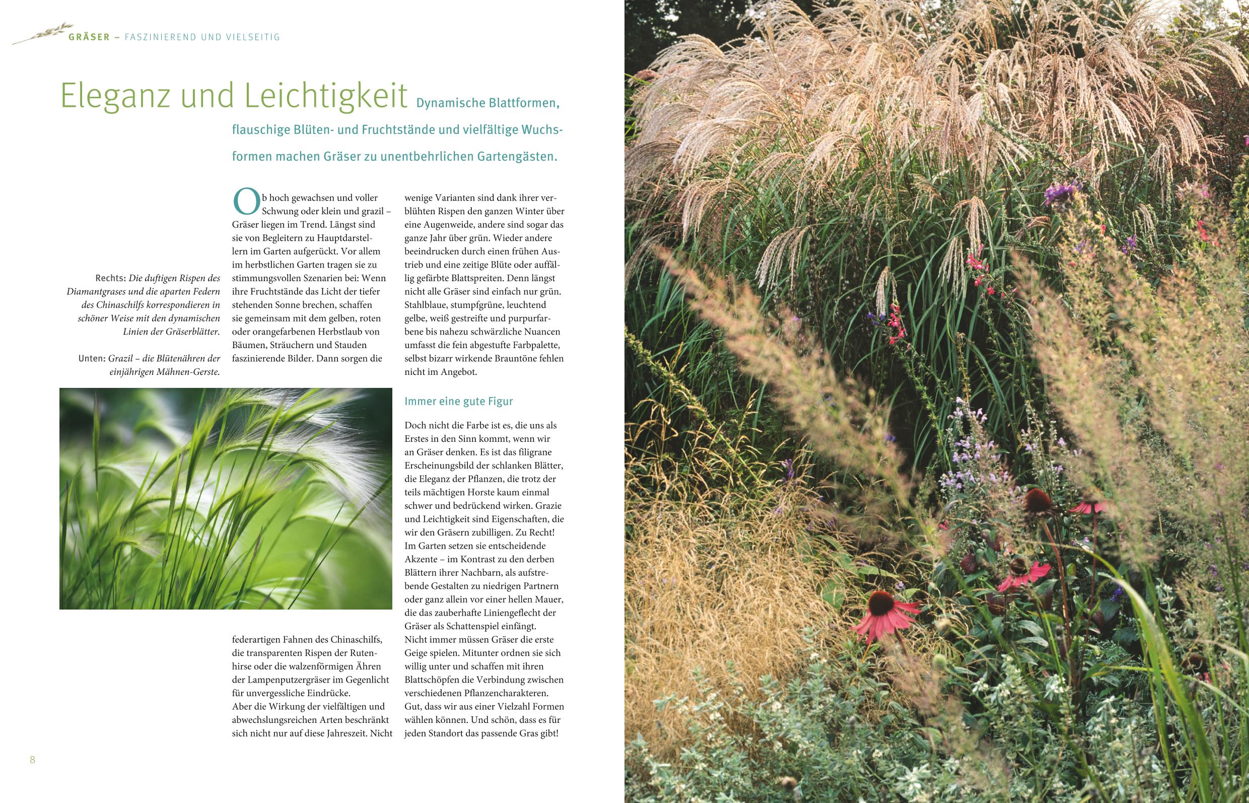 9783833827778_innenansicht_02 9783833827778_innenansicht_02.jpg