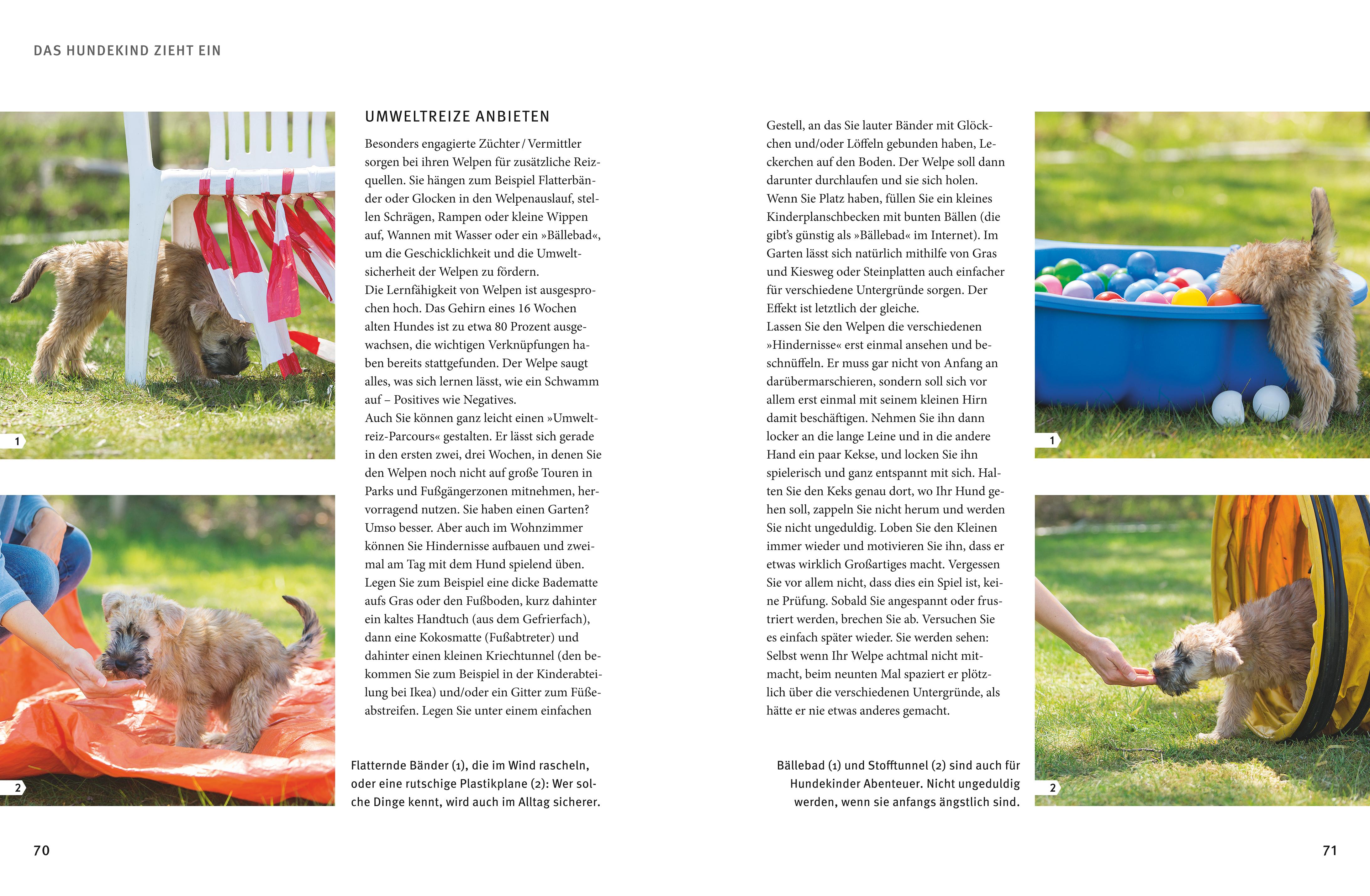 9783833857249_innenansicht_07 9783833857249_innenansicht_07.jpg