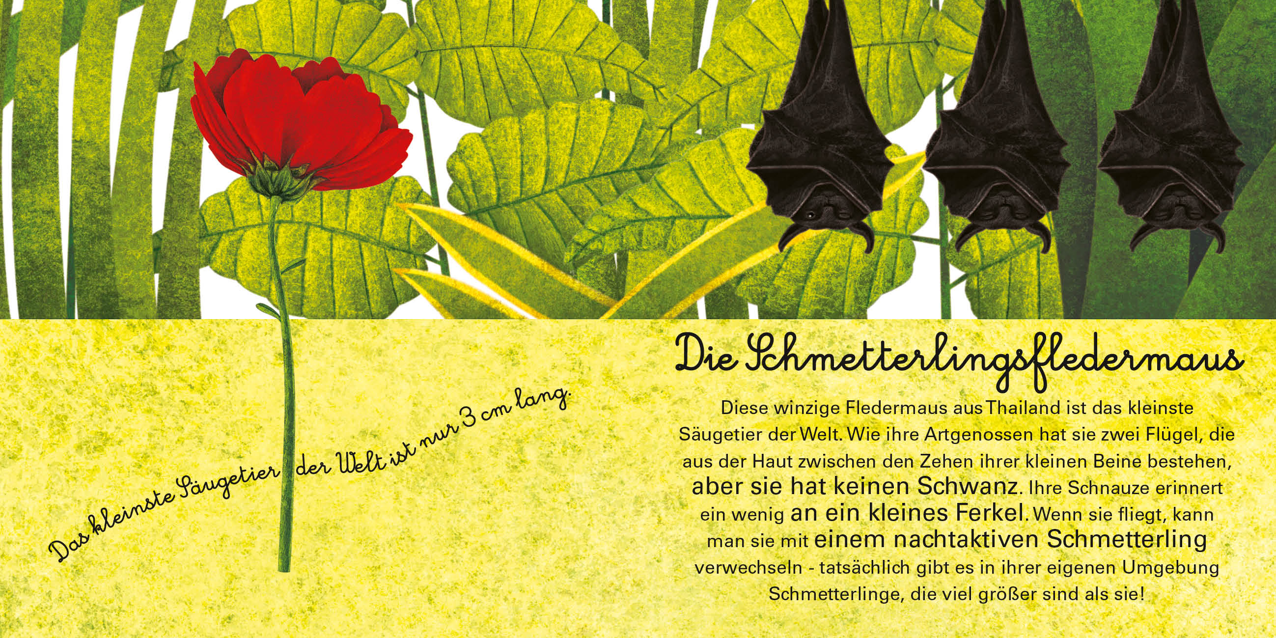 9788863125597_innenansicht_10 9788863125597_innenansicht_10.jpg