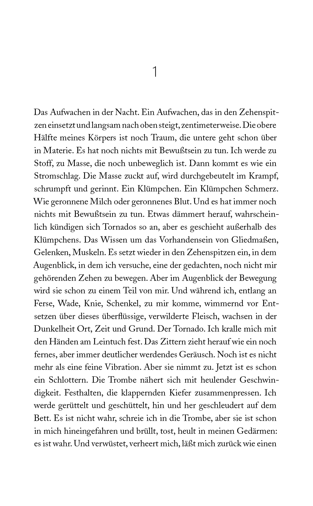 9783869138411_innenansicht_05 9783869138411_innenansicht_05.jpg