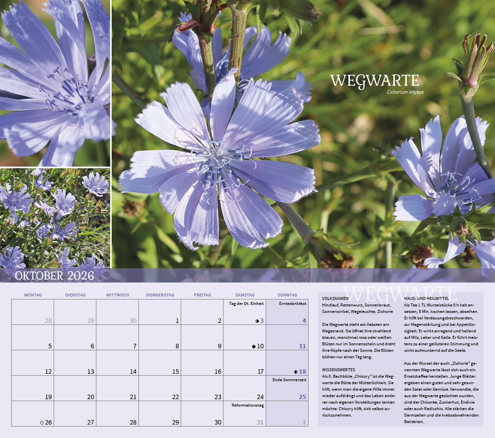 9783861925309_innenansicht_10 9783861925309_innenansicht_10.jpg