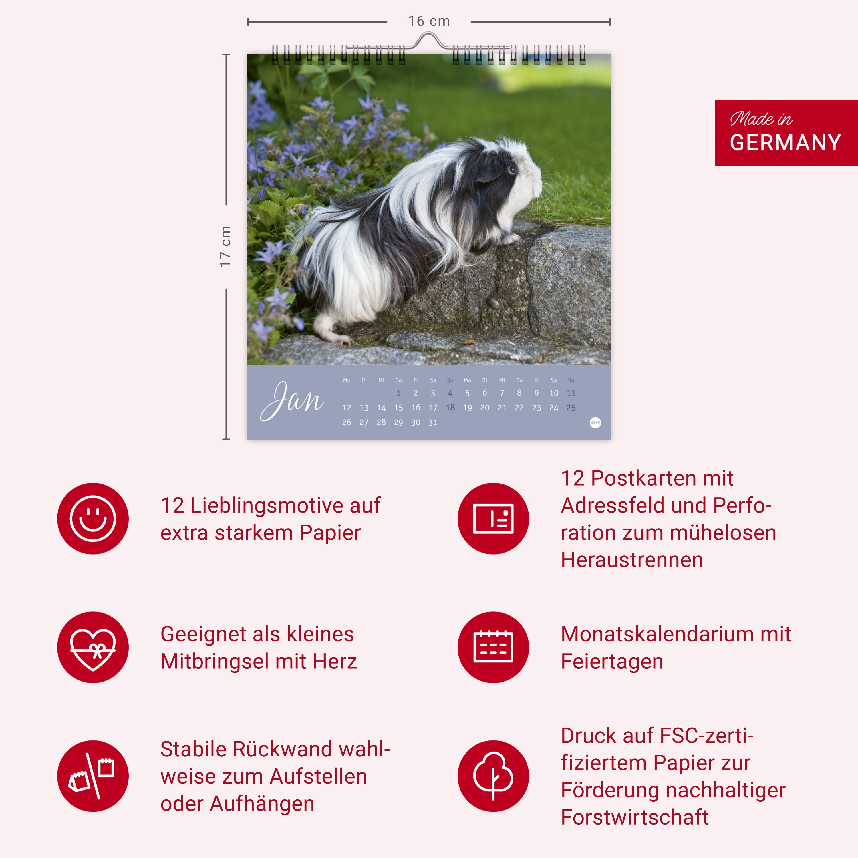 9783756410026_innenansicht_04.jpg