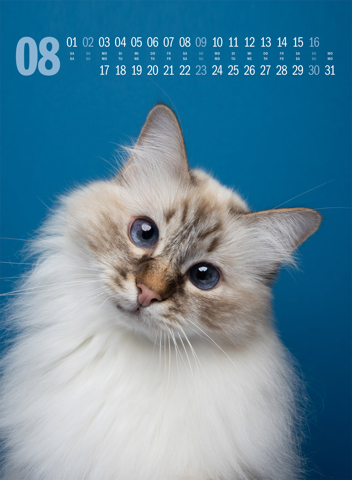 9783838436364_innenansicht_08 9783838436364_innenansicht_08.jpg