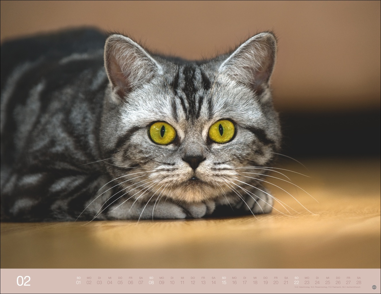 9783756411757_innenansicht_02 9783756411757_innenansicht_02.jpg